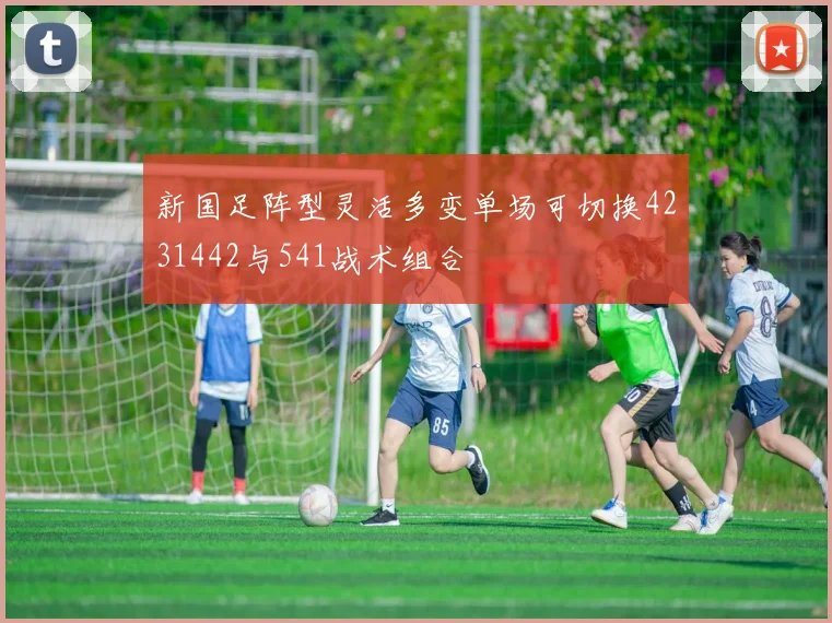 新国足阵型灵活多变单场可切换4231442与541战术组合