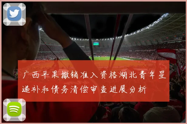 广西平果撤销准入资格湖北青年星递补和债务清偿审查进展分析